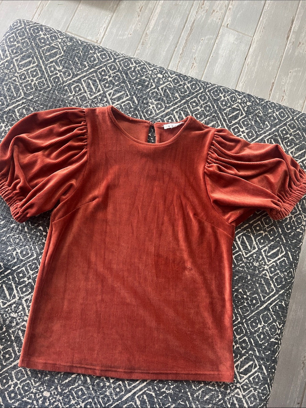 THML Rust Velvet Puff Sleeve Top